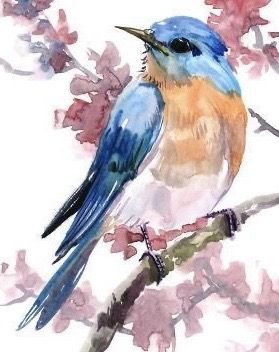 Complementary Color Scheme, Bluebird Watercolor, Bluebird Painting, Blue Bird Art, Bird Watercolor Paintings, Gallery Space, Watercolor Paintings For Beginners, 수채화 그림, Watercolor Paintings Tutorials