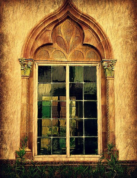 Ca D'Zan Window | One of the many ornate windows of the Vene… | Flickr Ancient Window, Venetian Window, European Windows, City Of Glass, Architect Student, Window Architecture, Traditional Windows, Window Trim, Ancient Architecture