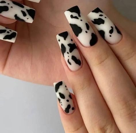 Cows Nails, Rodeo Nails, Cowboy Nails, Black And White Nail, Black And White Nail Art, Western Nails, Country Nails, Cow Nails, Cute Simple Nails