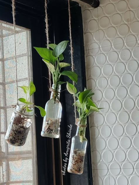 Aesthetic Glass Bottle, Diy Plant Decor, House With Plants, Earthy Room, Bottle Planters, Tanaman Air, Aesthetic Glass, Plant Rack, Plants In Bottles