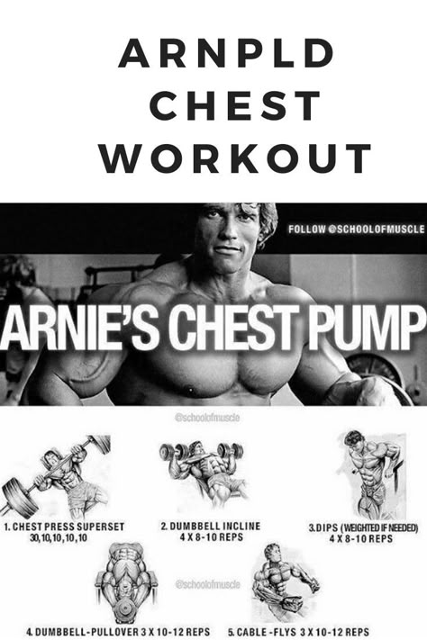 Huge Chest Workout, Chest Pump Workout, Chest Destroyer Workout, Arnold Chest Workout, Arnold Schwarzenegger Training, Arnold Schwarzenegger Chest Workout, Insane Chest Workout, Arnold Training, Chest Workouts For Men