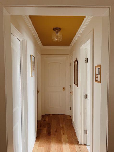 Masonite 30 in. x 80 in. 2 Panel … curated on LTK White Walls Yellow Trim, Hallway Ceiling Paint Ideas, Yellow Gold Paint Colors, Mustard Hallway, Earth Toned Home, Small Hallway Design, Warm Home Interior, Warm Yellow Paint Colors, Mustard Yellow Paint Colors