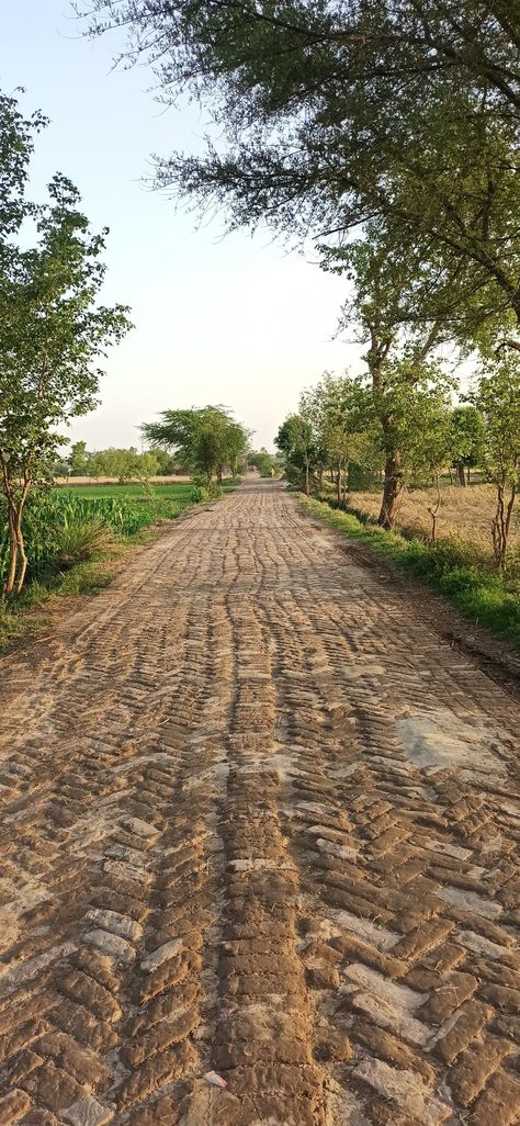 Village Road Background For Editing, Indian Roads Photography, Village Background For Editing, Village Aesthetic Indian, Indian Nature Photography, Punjab Village Photography, Indian Village Photography, Indian Village Aesthetic, Village Life Photography