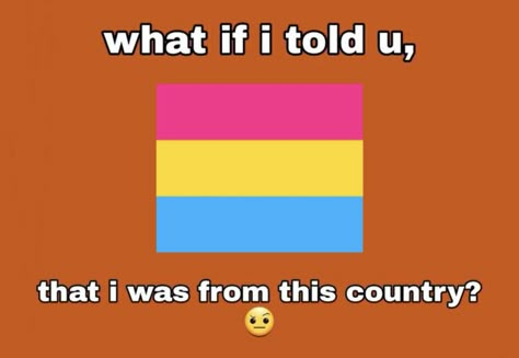 temp credits to @chngyoon :] Pan Meaning, Pan Pride, Lgbt Humor, Pansexual Flag, Lgbtq Funny, I Just Realized, Pansexual Pride, Gay Memes, God Help Me