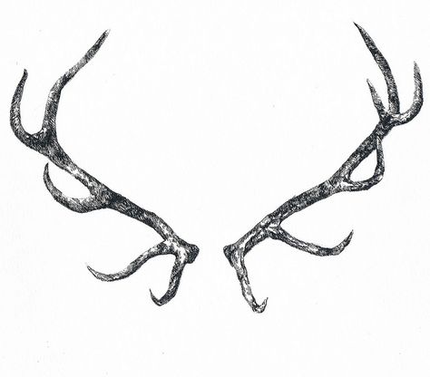 antlers by tiny tøt, via Flickr Elk Antler Tattoo Men, Antlers Drawing, Horn Illustration, Antler Tattoos, Elk Tattoo, Antler Tattoo, Elk Horn, Deer Horns, Black Deer