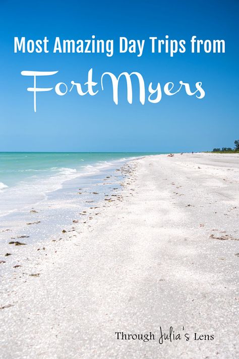 Hidden Gems & Amazing Seashells: Best Day Trips from Fort Myers Ft Myers Beach Florida, Fort Myers Florida Things To Do In, Dollywood Trip, Wild Dolphins, Fort Meyers, Fort Myers Beach Florida, Florida Travel Destinations, Trip To Florida, Beautiful Florida