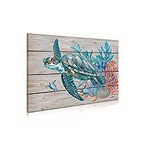 Sea turtle decor