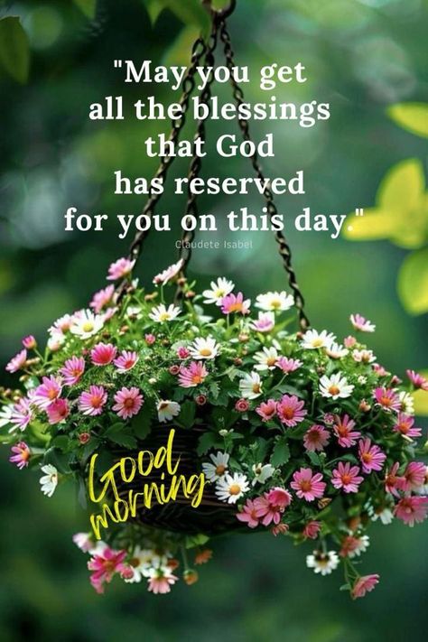 Blessed Morning Wishes, Have A Blessed Day Quotes Inspirational, Good Bless You, Good Morning Have A Blessed Sunday, Have A Blessed Day Inspiration, Good Morning Prayers And Blessings, Good Morning God Bless You, Good Morning Blessings Prayer, Good Morning Blessings Inspiration Beautiful