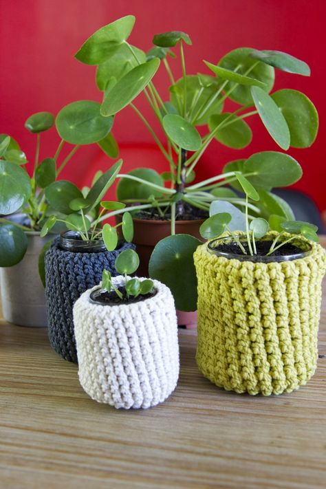 Cache Pot, Slow Life, Diy Crochet, Plant Hanger, Crochet Flowers, Macrame, Planter Pots, Crochet, Plants