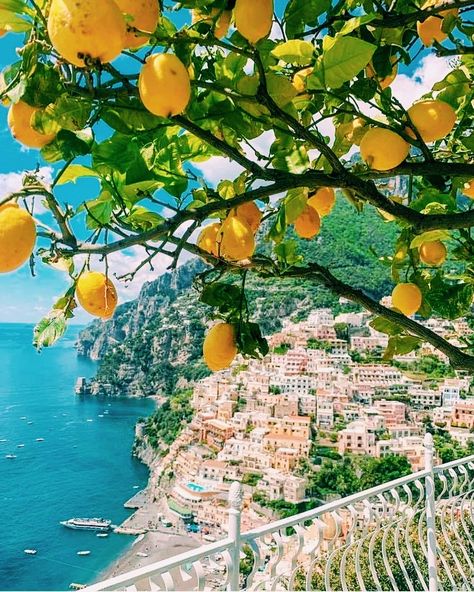 Lemon Tree Italy Amalfi Coast, Lemon Trees In Italy, Sicily Lemon Aesthetic, Flowers In Italy, Mederteranian Aesthetic, Italian Asethic, Positano Lemons, Lemon Italy, Greece Landscape