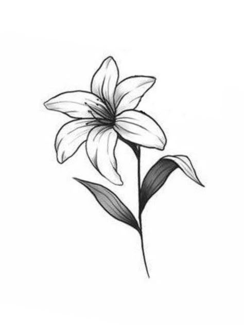 Lilly Flower Drawing Simple, Lilly Flower Tattoo Designs Simple, Simple Lilly Tattoo, Simple Lily Drawings, Single Flower Tattoo Stencil, Simple Lilly Drawing, Daylillies Drawing, Lily Simple Drawing, Lily Sketch Simple