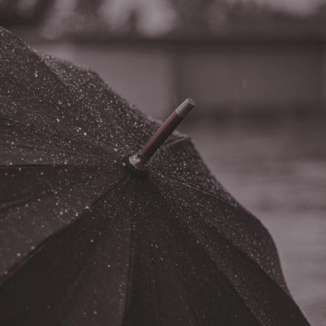 Black Umbrella Aesthetic, Umbrella Images, Umbrella Pictures, Umbrella Aesthetic, Reece King, Henry Winter, Daybed Canopy, Pink Umbrella, Yellow Umbrella