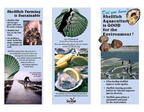 Oyster farming is sustainable! Crab Farming, Ecological Restoration, Oyster Farming, Plant Cell, Oyster Bar, Blue Crab, Sustainable Farming, Off The Grid, Ecology