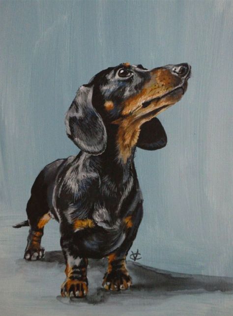 Choc Lab, Arte Dachshund, Dachshund Drawing, Dachshund Painting, Doxie Art, Dachshund Decor, Dog Watercolor Painting, Lab Art, Dachshund Breed