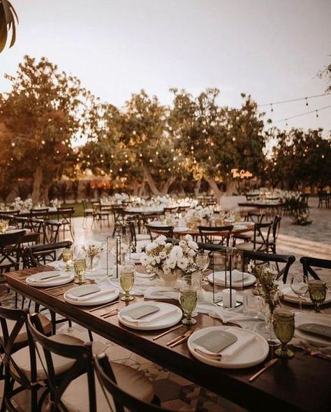 Acre Cabo, Acre Wedding, Wedding Cabo, Southwest Wedding, Cabo Wedding, Cabo Weddings, Bridal Inspo, Wedding Table Settings, Rental Company