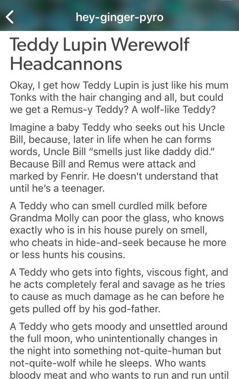 Teddy Lupin Headcanons, Harry Potter Teddy Lupin, Remadora Headcanons, Teddy Lupin Fan Art, Teddy Lupin Aesthetic, Teddy Lupin, Harry Potter Next Generation, Head Cannons, Hp Harry Potter