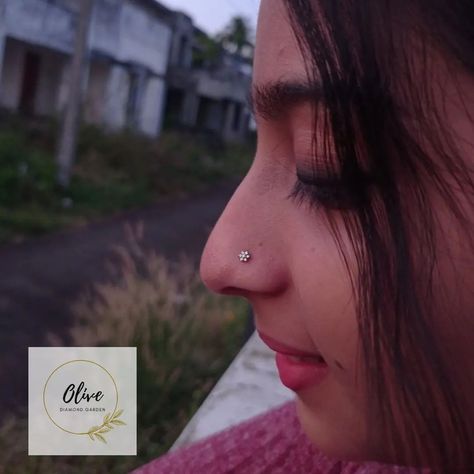 Diamond Nose Stud Indian, Nosepins Indian Gold, Diamond Nosepin, Nose Pin Indian, Diamond Nose Ring, Diamond Nose Stud, Nose Pins, Wallpaper Photo Gallery, Beetroot Powder