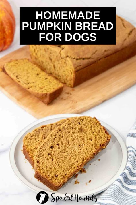 Pumpkin Bread For Dogs, Homemade Pumpkin Bread, The Best Pumpkin Bread, Easy Pumpkin Bread, Best Pumpkin Bread, Treat For Dogs, Pet Treats Recipes, Yummy Bread, Pumpkin Bread Easy