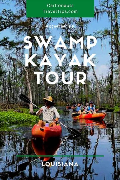 Swamp Tours, Kayak Tours, Something Different, House Boat, Guide Book, Business Travel, Tour Guide, Bald Eagle, Louisiana