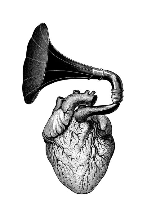 Heartbeat artist: olex oleole Dan Hillier, Music Illustration, Music Tattoos, Desenho Tattoo, Human Heart, Trendy Tattoos, Anatomy Art, Heart Art, Musical Instrument