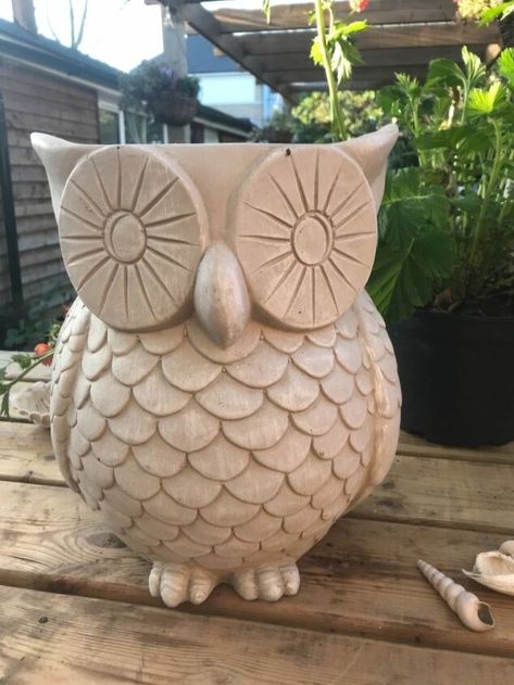 Owl Planter Diy, Ceramic Owls Pottery Ideas, Ceramic Owl Painting Ideas, Clay Owl Diy, Pottery Owls, Owl Pottery, Owl Planter, Clay Owl, Sculpture Art Clay