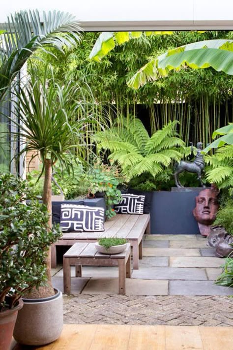 Garden Ideas Uk, Small Tropical Gardens, Hampton Court Flower Show, Small Urban Garden, Small City Garden, Tropical Garden Design, Small Courtyard Gardens, Jungle Gardens, London Garden