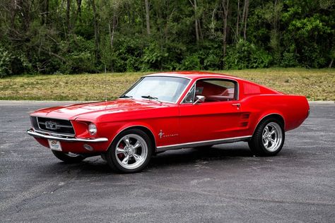 1967 Ford Mustang Fastback, Mustang 1967, Ford Mustang 1967, Red Mustang, 1967 Ford Mustang, Ford Ranger Truck, 1967 Mustang, Gt 500, Red Cars