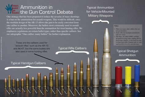 Full guide about all common bullet sizes calibers information with tons of pics. Find out the differences between bullet tips such as Hollow Point and FMJ Bullet Size Chart, Bullet Types, Hollow Point, Bullet Shell, Tactical Gear Loadout, Bullet Casing, Shooting Sports, Silhouette Cameo Projects, Pew Pew