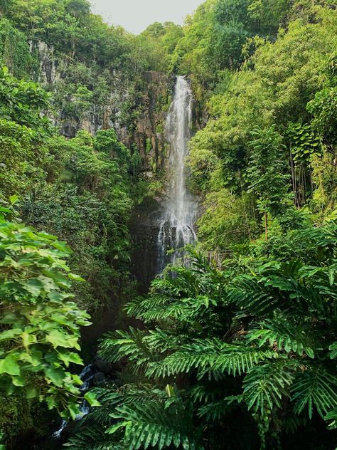 Hiking Waterfall, Hawaii Hiking, Hawaii Waterfalls, Vintage Hawaii Photography, Jungle Photography, Waterfall Paintings, Hawaii Maui, Waterfall Photography, Maui Hawaii