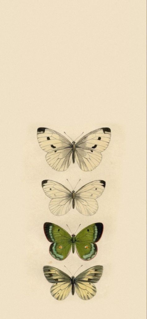 butterfly green beige wallpaper goblincore cottagecore lock screen Butterfly Core Aesthetic Wallpaper, Pale Yellow Background Aesthetic, Earthcore Wallpaper, Butterflies Wallpaper Aesthetic, Cottage Core Phone Wallpaper, Goblincore Background, Butterfly Background Wallpapers, Aesthetic Wallpaper Fairy, Cottage Core Wallpaper Iphone