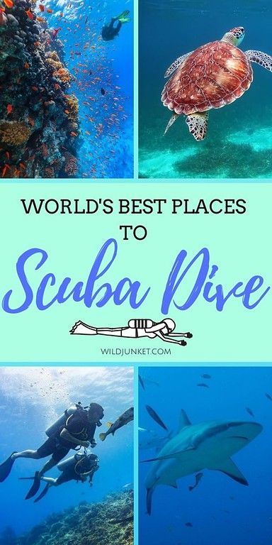 The World's BEST Places to Scuba Dive! From Micronesia to Southeast Asia and beyond, this list is a compilation of the best scuba diving in the world, from an experienced scuba diver. #scubadiving #bestdiving #bestdivesites #scubadivers #divetheworld #scubadivingtrips #bestscubadiving #wheretoscubadive #scuba #scubatravel #divetrip #divingtrips #divingaroundtheworld #galapagosislands Thailand Scuba Diving, Scuba Diving Australia, Travel Belize, Backpacking Ireland, Travel Poland, Belize Beach, Travel Colombia, Gifts For Scuba Divers, Belize Resorts