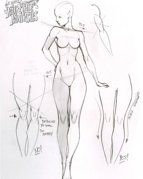 Taco Anatomy, Female References, Women Drawing, Body Study, J Scott Campbell, Drawing Female Body, Comic Book Drawing, Female Drawing, Scott Campbell