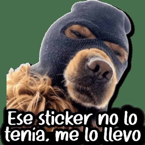 👧🏻 COREANITA FRASES 💕 Stickers Bonitos, Stickers Whatsapp, Aesthetic Memes, Funny Spanish Memes, Book Creator, Spanish Humor, Spanish Memes, Make Your Own Stickers, Meme Stickers