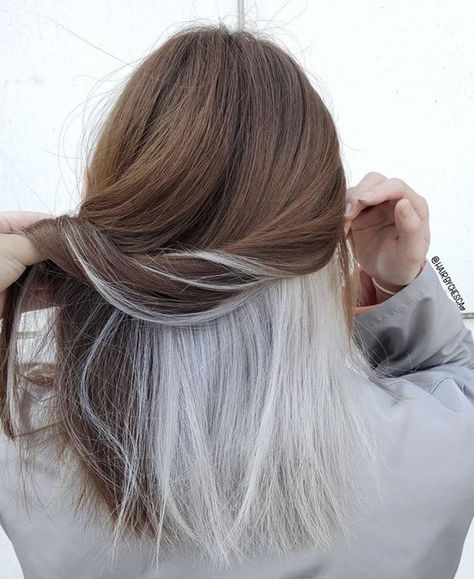 This Is Your Sign To Get Peekaboo/Hidden Highlights NOW! Peakaboo Underlights Grey, Narcissa Hair, Narcissa Malfoy Hair, Under Hair Dye, Hidden Hair Color, Split Dyed Hair, Hair Color Underneath, Peekaboo Hair, Hair Color Streaks