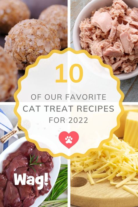 Dog And Cat Homemade Treats, Homemade Cat Ice Cream, Dehydrated Cat Treats Recipes, Dehydrated Cat Treats, Chicken Cat Treats Homemade, Home Made Cat Treats Easy, Homemade Treats For Cats, Cat Recipes Food, Diy Pet Treats