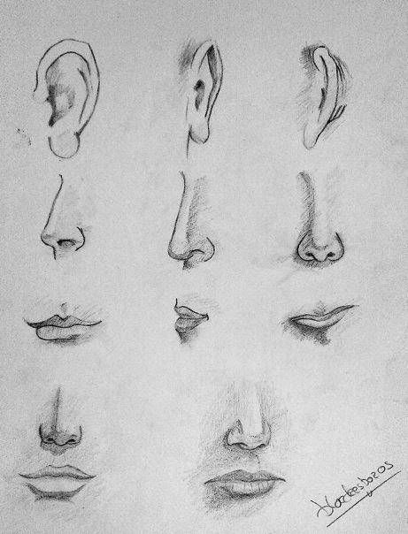 pasos para dibujar una nariz de mujer Letter R Tattoo, Anime Nose, Tex Avery, Nose Drawing, R Tattoo, Art Drawings Sketches Pencil, Drawing Expressions, Easy Drawings Sketches, Drawing Practice