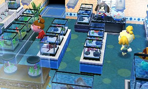 Acnh Aquarium, Animal Crossing Aquarium, Animal Crossing Fish, Happy Home Designer, Animal Crossing Guide, Aquatic Animals, Fish Bowl, Animal Crossing, Animals