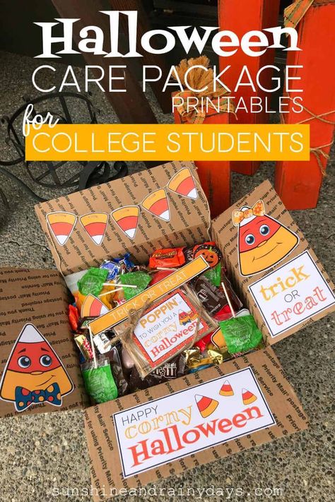 Halloween Care Package College, Halloween Care Package Ideas, College Gift Boxes, Thanksgiving Care Package, Care Package Decorating, Fall Care Package, Diy Care Package, Christmas Care Package, Halloween Care Packages