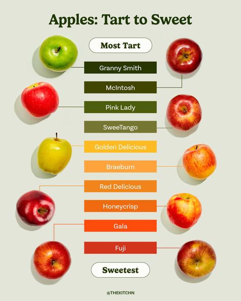 Graphic chart of various kinds of apples organized from most tart to sweetest Apple Chart, Apple Cidar, Types Of Apples, Mcintosh Apples, Raw Snacks, Golden Delicious Apple, Apple Types, Red Delicious Apples, Healthy Life Hacks