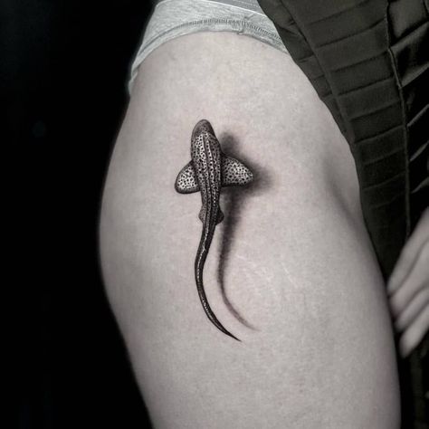 Killer Ink Limited on Instagram: “Baby #leopardshark by @danielhoyletattoo from @aurora_tattoo_studio with #killerinktattoo supplies! #danielhoyletattoo #auroratattoostudio…” Aurora Tattoo, Hai Tattoo, Around Arm Tattoo, Leopard Shark, Thailand Tattoo, Boho Tattoos, Shark Tattoo, Shark Tattoos, Mermaid Life