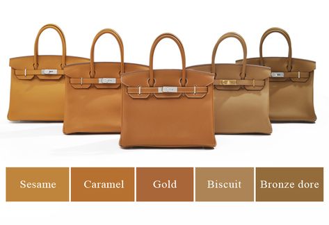 Hermes Birkin Colours, Biscuit Color, Birkin Handbags, Hermes Wallet, Kelly Bag, Hermes Handbags, Hermes Bags, Classic Gold, Handbag Shoes