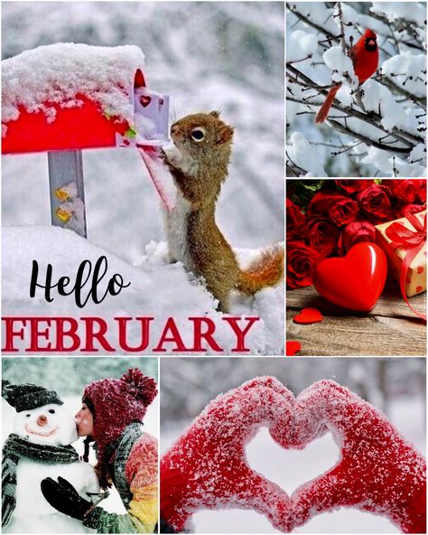 Welcome February Images, Hello February Wallpaper, February Pictures, January Images, February Images, Welcome February, Hello Quotes, Neuer Monat, February Wallpaper