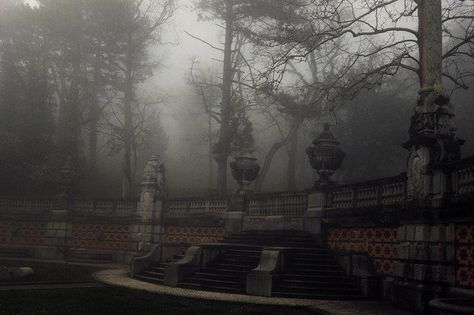 Steampunk Tendencies, Academia Aesthetics, Dark Paradise, Dark Academia Aesthetic, The Fog, The Secret History, Academia Aesthetic, Victorian Gothic, Dark Academia