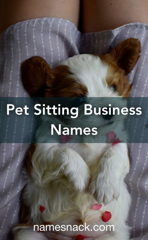 Pet Business Name Ideas, Pet Sitting Business Names, Dog Sitting Business, Catchy Business Name Ideas, Pet Services Business, Pet Advertising, Pet Sitting Business, Free Logos, Pet Sitting Services