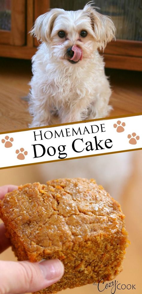 Peanut Butter Dog Cake, Dog Cake Recipe Pumpkin, Homemade Dog Cake, Birthday Cake Recipe Homemade, Dog Cake Recipe, Cake For Dogs, Dog Birthday Cake Recipe, Dog Cake Recipes, Easy Dog Treats