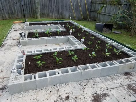 Build a Concrete Block Garden for Food and Memories : 10 Steps (with Pictures) - Instructables Inexpensive Raised Garden Beds, Cinder Block Garden, Cinder Blocks, Vegetable Garden Raised Beds, Building A Raised Garden, Concrete Block, Backyard Vegetable Gardens, Have Inspiration, Vegetable Garden Design