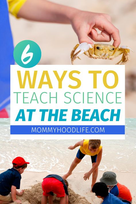 Teach your children science at the beach and have fun this summer.  These fun science based activities are educational, interesting, and a great way to keep the kids busy at the beach.  #ScienceAtTheBeach #BeachFun #DistanceLearning Beach Science, Theme Preschool, Keeping Kids Busy, Beach School, Baby Moon, Dauphin Island, About Science, Science Activities For Kids, Summer Slide