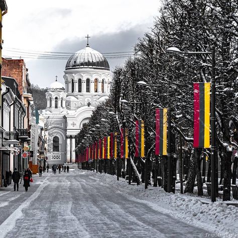 Lithuanian Aesthetic, Lithuania Winter, Lithuania Architecture, Bye 2022, Lithuania Kaunas, Lithuania Flag, Weeknd Concert, Travel Countries, Lithuania Travel