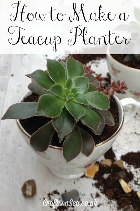 how to make a teacup planter Planter Crafts, Teacup Planter, Teacup Gardens, Teacup Crafts, Amazing Embroidery, Parenting Inspiration, Mean Green, Succulent Gardening, Spruce Up Your Home