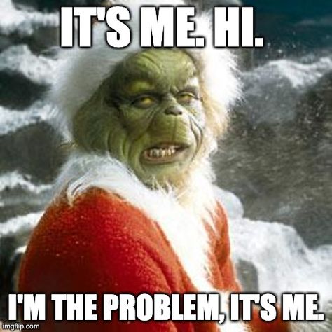 Grinch Memes, O Grinch, Jim Carrey Quotes, Grinch Stuff, Massage Quotes, Grinch Quotes, Mr Grinch, Grinch Who Stole Christmas, Movie Makeup